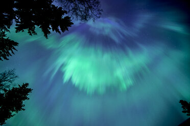 Aurora borealis in Oulu, Finnland - FOLF08230