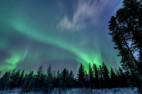 Lappland, Levi, Aurora borealis - FOLF08233