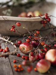 Herbstfrüchte auf dem Tisch - FOLF08528