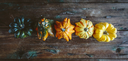 Row of five Ornamental pumpkins on wood - GIOF03881