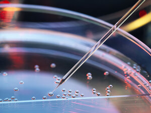 Stem cell research, nuclear transfer being carried out on several embryonic stem cells for cloning - ABRF00145