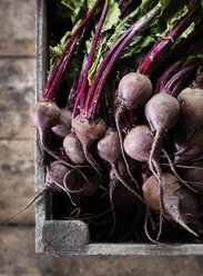 Beetroots in crate - FOLF08632