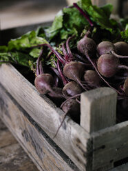 Beetroots in case - FOLF08639