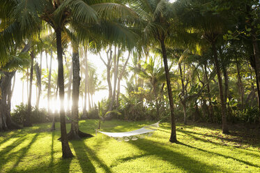 Hammock between palm trees at Costa Rica - FOLF08710