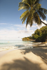 Tropical beach by sea in West Indies - FOLF08727
