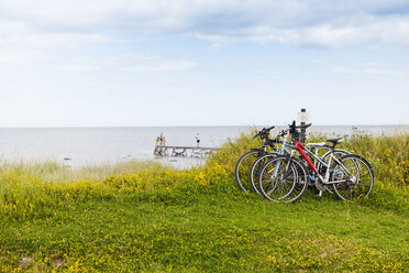 Fahrräder auf der Wiese am See - FOLF08799