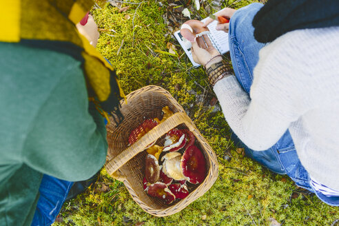 Zwei junge Frauen kauern neben einem Korb voller Russula-Pilze - FOLF08842