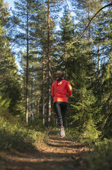 Rückansicht einer jungen Frau beim Joggen im Wald - FOLF08864