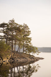 Panoramablick auf den See - FOLF08961