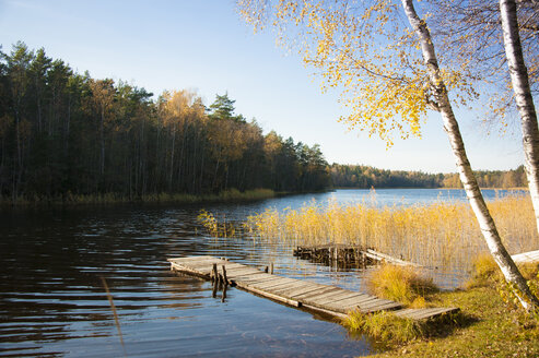 Herbstlandschaft mit Seebrücke - FOLF08975