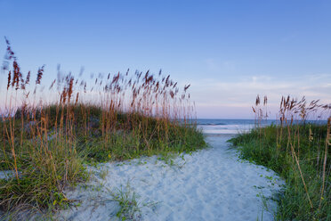 Strand in der Abenddämmerung auf der Isle of Palms, USA - FOLF08995