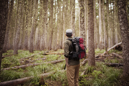 Mann trägt Rucksack, während er im Wald steht - CAVF33948