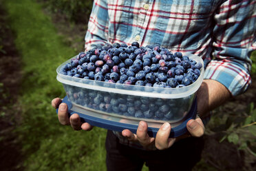 Mittelteil eines Mannes, der Blaubeeren in einem Behälter hält - CAVF34096