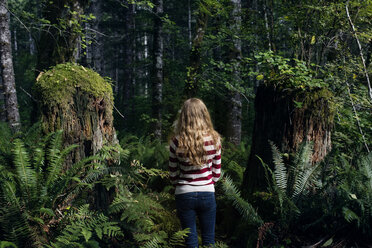 Rückansicht einer inmitten von Bäumen stehenden Frau im Wald - CAVF34098