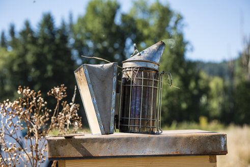 Nahaufnahme eines metallischen Bienen-Rauchers auf einem Feld - CAVF34110