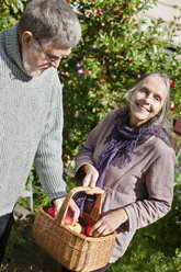 Älteres Paar pflückt Äpfel im Garten - FOLF09097