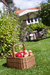 Basket full of apples on grass - FOLF09101