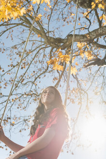 Teenage girl sitting on tree swing in sunlight - FOLF09107