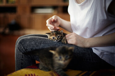 Midsection of woman petting kitten while sitting at home - CAVF34244