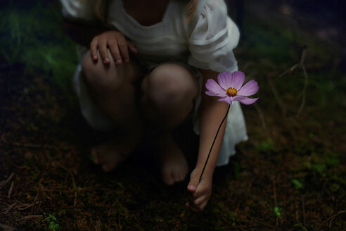 Tiefschnitt eines Mädchens, das eine Blume hält, während es auf einer Wiese im Park hockt - CAVF34280