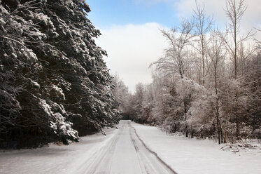 Empty road in snow winter - CAVF34372