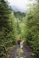 Mann geht mit Hund im Wald spazieren - CAVF34381