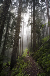 Man walking with dog in forest - CAVF34383