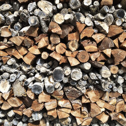 Full frame of stack of firewood - CAVF34402