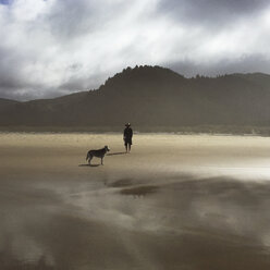 Mann mit Hund allein am Strand - CAVF34404