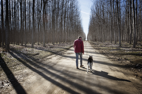 Rückansicht eines Mannes, der mit einem Siberian Husky auf einem unbefestigten Weg inmitten kahler Bäume im Winter spazieren geht, lizenzfreies Stockfoto