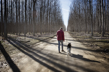 Rückansicht eines Mannes, der mit einem Siberian Husky auf einem unbefestigten Weg inmitten kahler Bäume im Winter spazieren geht - CAVF34418