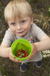 Porträt eines Jungen mit Walderdbeeren - FOLF09293