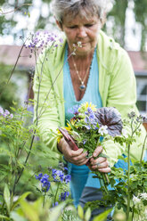 Ältere Frau bei der Gartenarbeit - FOLF09402