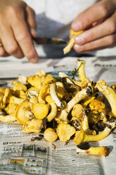 Man preparing chanterelle mushrooms - FOLF09455