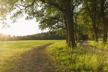 Österreich, Oberösterreich, Klam, leere Landstraße in der Abenddämmerung - AIF00470