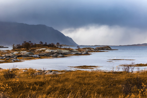 Norwegen, Lofoten, Gimsoysand, Küstenlandschaft, lizenzfreies Stockfoto