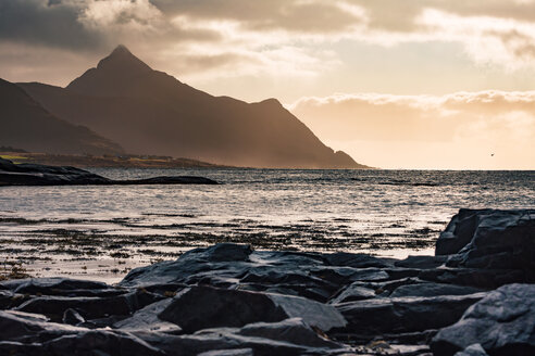 Norway, Lofoten Islands, Gravdal, coast and sea - WVF00939