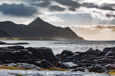 Norway, Lofoten Islands, Gravdal, coast and sea - WVF00941