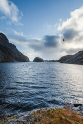 Norway, Lofoten Islands, Nusfjord, coast and sea - WVF00949