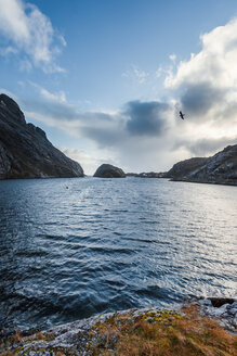 Norwegen, Lofoten, Nusfjord, Küste und Meer - WVF00949