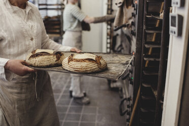 Midsection of baker keeping fresh baked breads on cooling rack at bakery - MASF00077