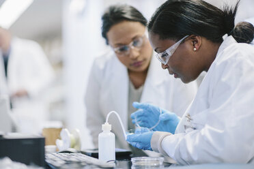 Female doctors examining petri dish in laboratory - CAVF34493