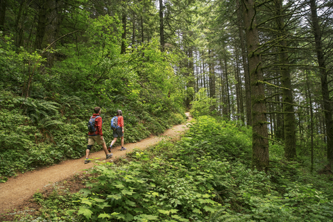 Friends hiking on trail at Crater Lake National Park stock photo