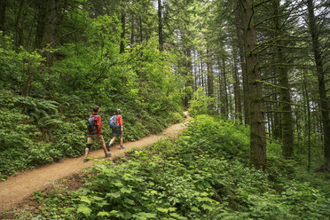 Freunde wandern auf einem Pfad im Crater Lake National Park - CAVF34660