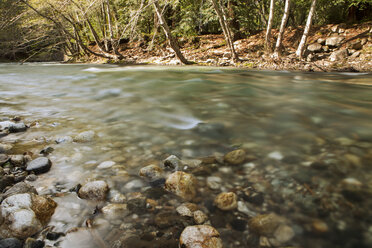 Close-up of stones in river - CAVF34834