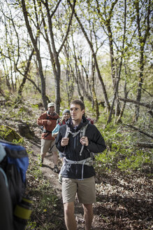 Freunde wandern im Wald - CAVF34855