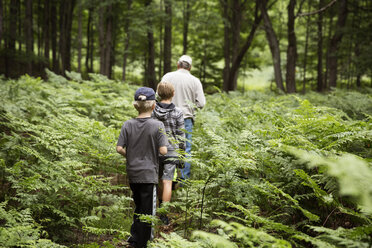 Rückansicht von Großvater und Enkeln beim Spaziergang im Wald - CAVF35148