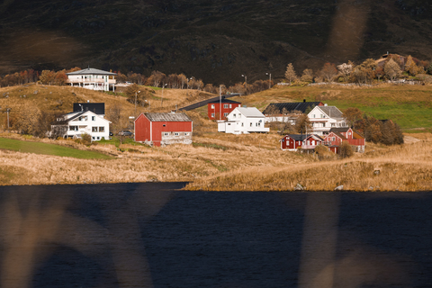 Norwegen, Lofoten, Häuser am See Holdalsvatnet, lizenzfreies Stockfoto