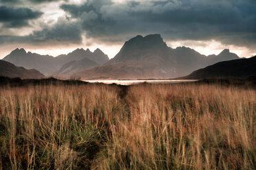 Norwegen, Lofoteninseln, Fredvang - WVF01009