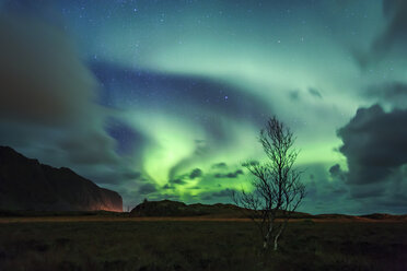 Norway, Lofoten Islands, northern lights - WVF01033